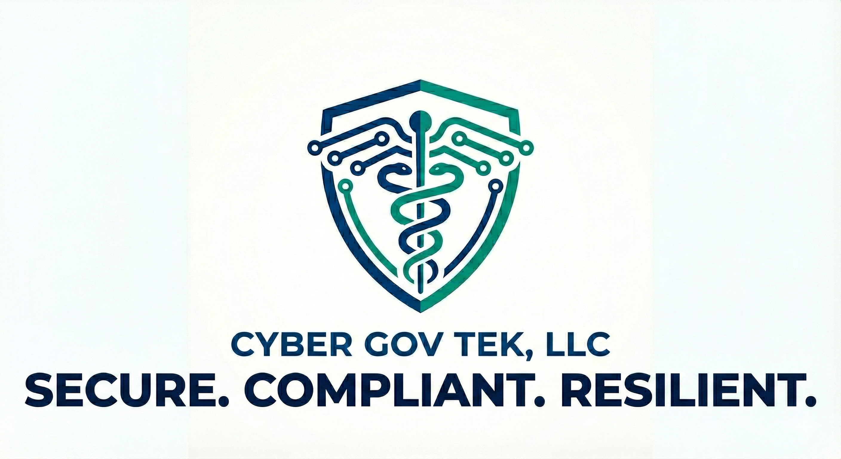 CYBER GOV TEK LLC